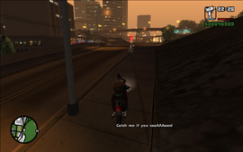 The chase eventually leads CJ and Loc onto the Los Santos Freeway.