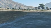 Stockpiling-GTAO-EastCountry-Sea-NorthAlamoSea