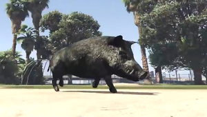 A player-controlled boar.