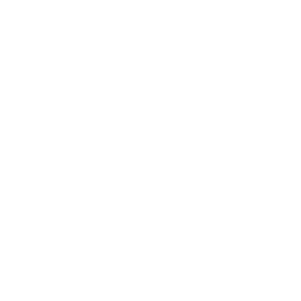 Enema Los Santos logo design.