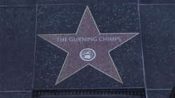The Gurning Chimps star on the  in 