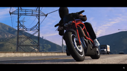 Riding fast along the Palomino Freeway.