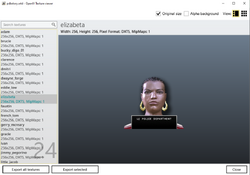 OpenIV-GTAIV-TextureViewerElizabetaLCPD