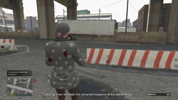 Weapons delivered