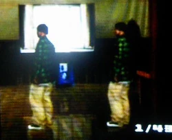 An image showing the aforementioned glitch.