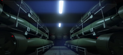 Kosatka missiles/torpedoes.