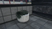LDOrganicsProduct-GTAOe-Location23