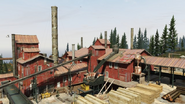 Sawmill Plant Survival.