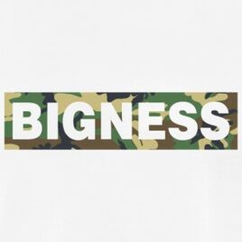 Bigness Logo Camo