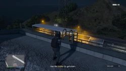 Use the ladder to get down.