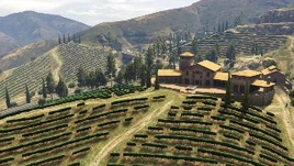 WatertheVineyard-GTAO-JobImage