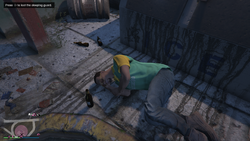 A Jardineros jersey worn by a certain Cayo Perico guard stationed in Los Santos.