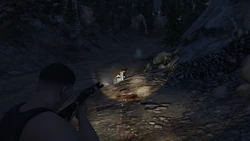 Elwood's death.