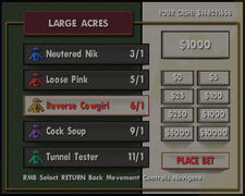 Selecting a horse and placing a wager in an ITB machine.