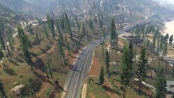 Route 1 as it winds through Paleto Forest.