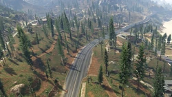 Route1-GTAV-PaletoForest.jpg (85 KB) Route 1 as it winds through Paleto Forest.