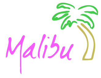 gta vice city radio station that plays in the malibu club