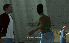 WearFlowersInYourHair-GTASA-SS143