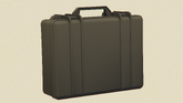 Briefcase-GTAVee