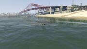 Stockpiling-GTAO-EastLS-Sea-Terminal