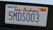 CustomLicense-GTAV-5MDS003.png