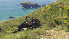 Wrecks-GTAO-CayoPerico-Buzzard.png