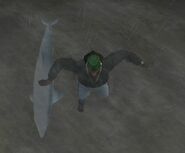 Dolphin in GTA San Andreas, top view