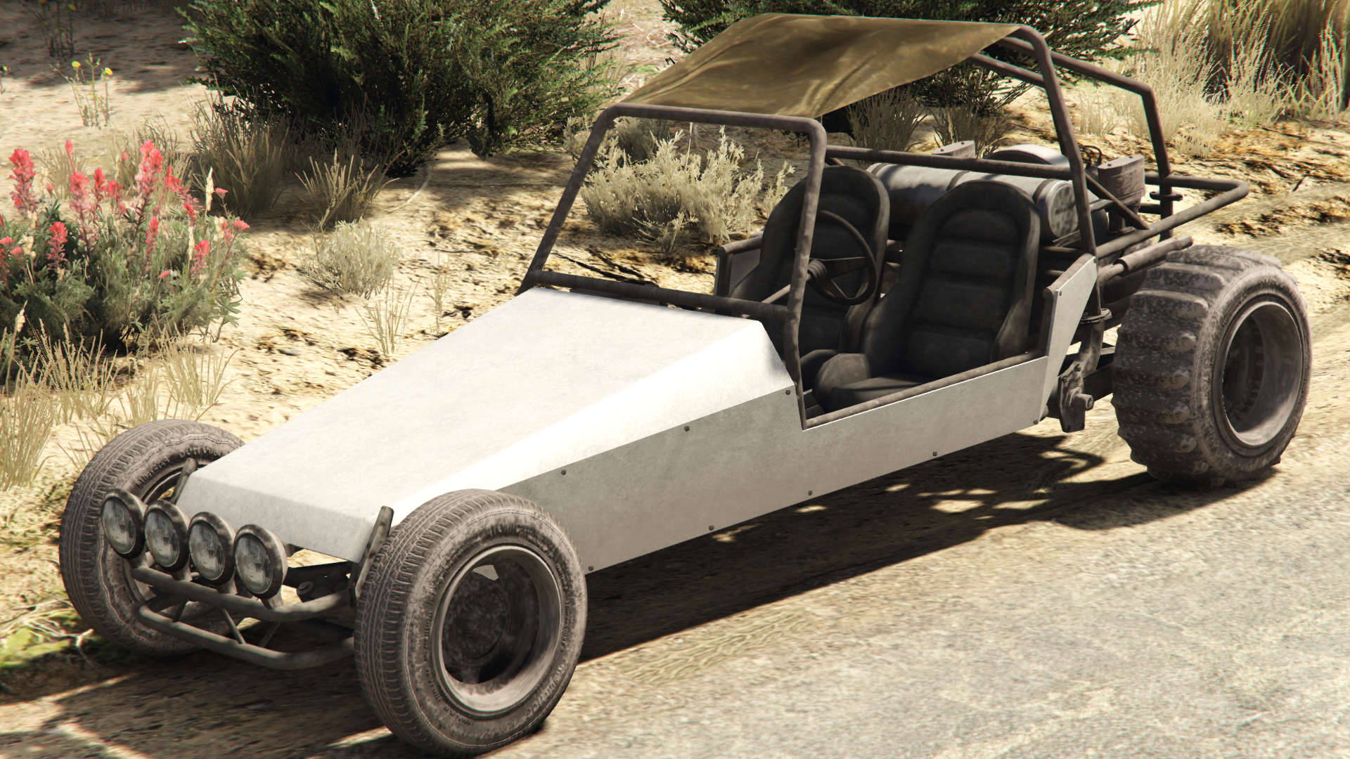 beach buggy roof