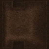 Bully-Textures-stalion86st d