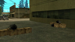 Leftover boxes and trash bags at the alleyway.
