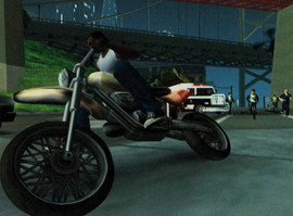 Early version of the SWAT members.