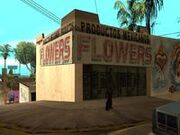 ProductosMexicanoFlowers-GTASA