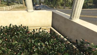 LDOrganicsProduct-GTAOe-Location54