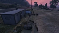 BikerStealCollectaWorker-GTAO-ProcopioBeach