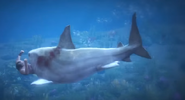 SharkAttack-GTAV