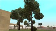 Unnamed generic tree, same model appeared in Grand Theft Auto III, Grand Theft Auto: Vice City and Manhunt.