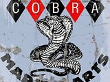 Cobra Marital Arts Gym