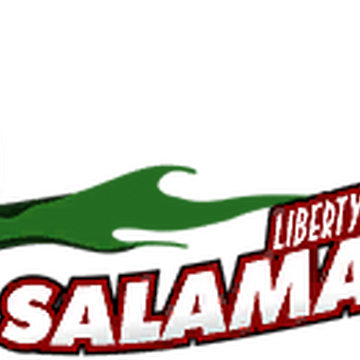 Liberty City Salamanders Gta Wiki Fandom