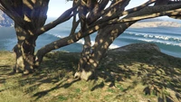 LDOrganicsProduct-GTAOe-Location86