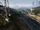 Palomino Freeway