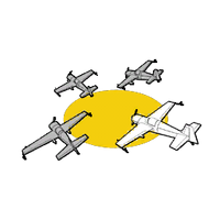 GTA V Flight School Formation.png