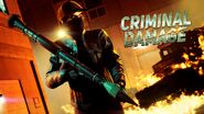 Criminal Damage advert.