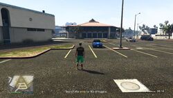 Search the area for the smuggler.