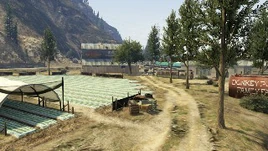 AgainsttheGrain-GTAO-JobImage