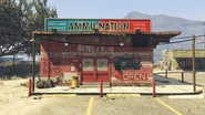 Ammu-Nation-GTAV-SandyShores