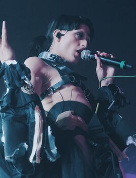 Arca-Musician