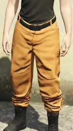 FreemodeFemale-CargoPantsHidden2-GTAO.png