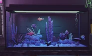 VanillaUnicorn-GTAV-FishTank