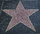 WalkOfFame Blank Icon