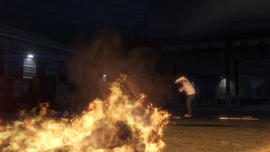 Trevor's death.